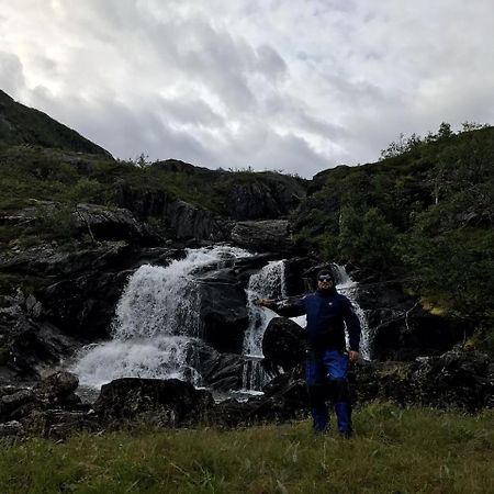 Gullesfjord Camping Luaran gambar